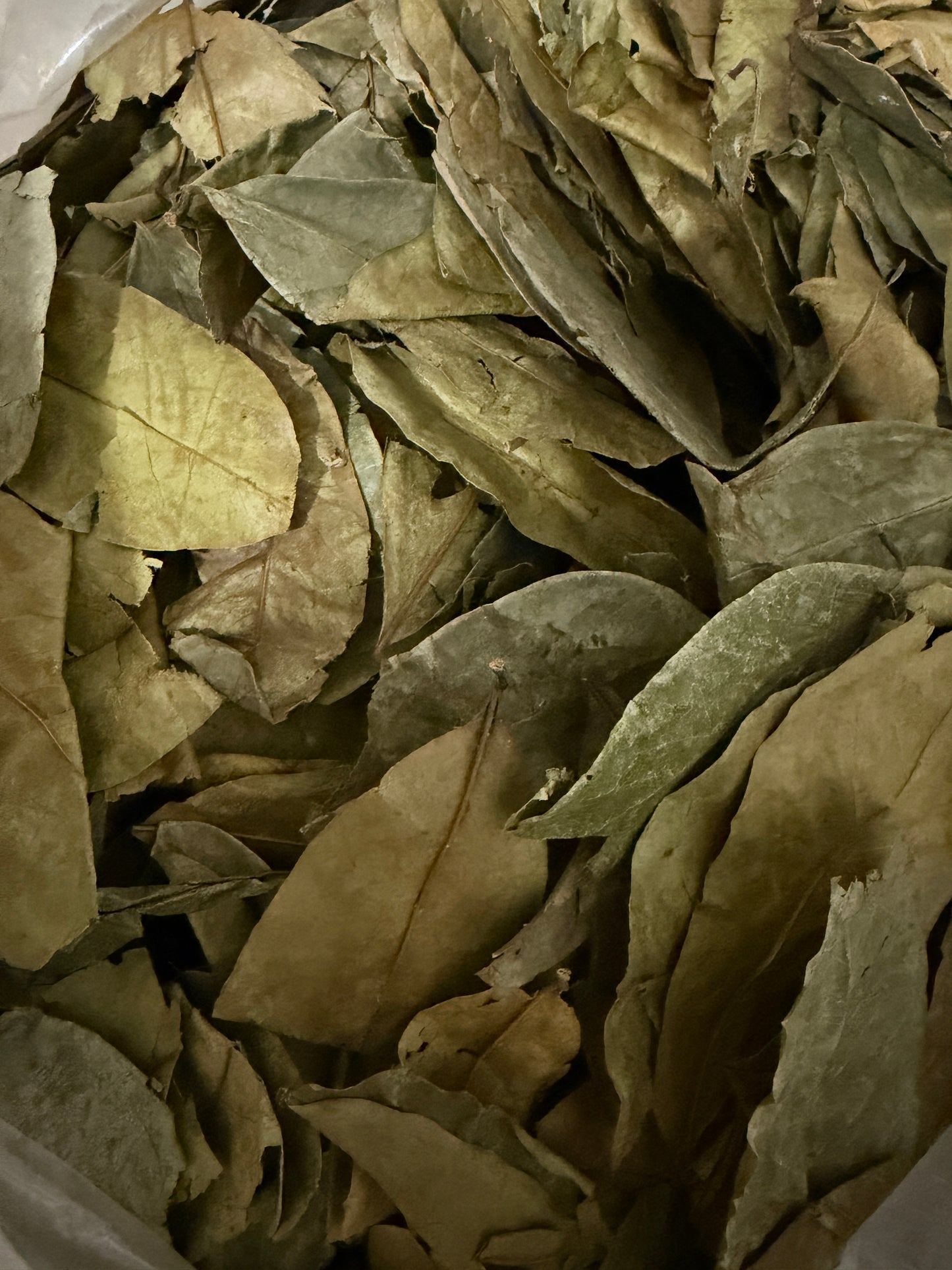 Soursop Leaves
