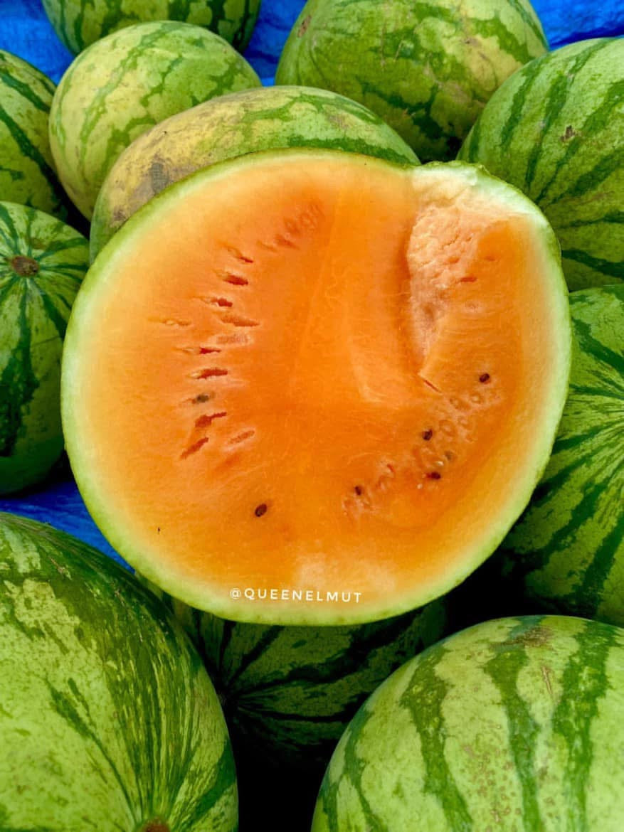 Candy Orange Watermelon