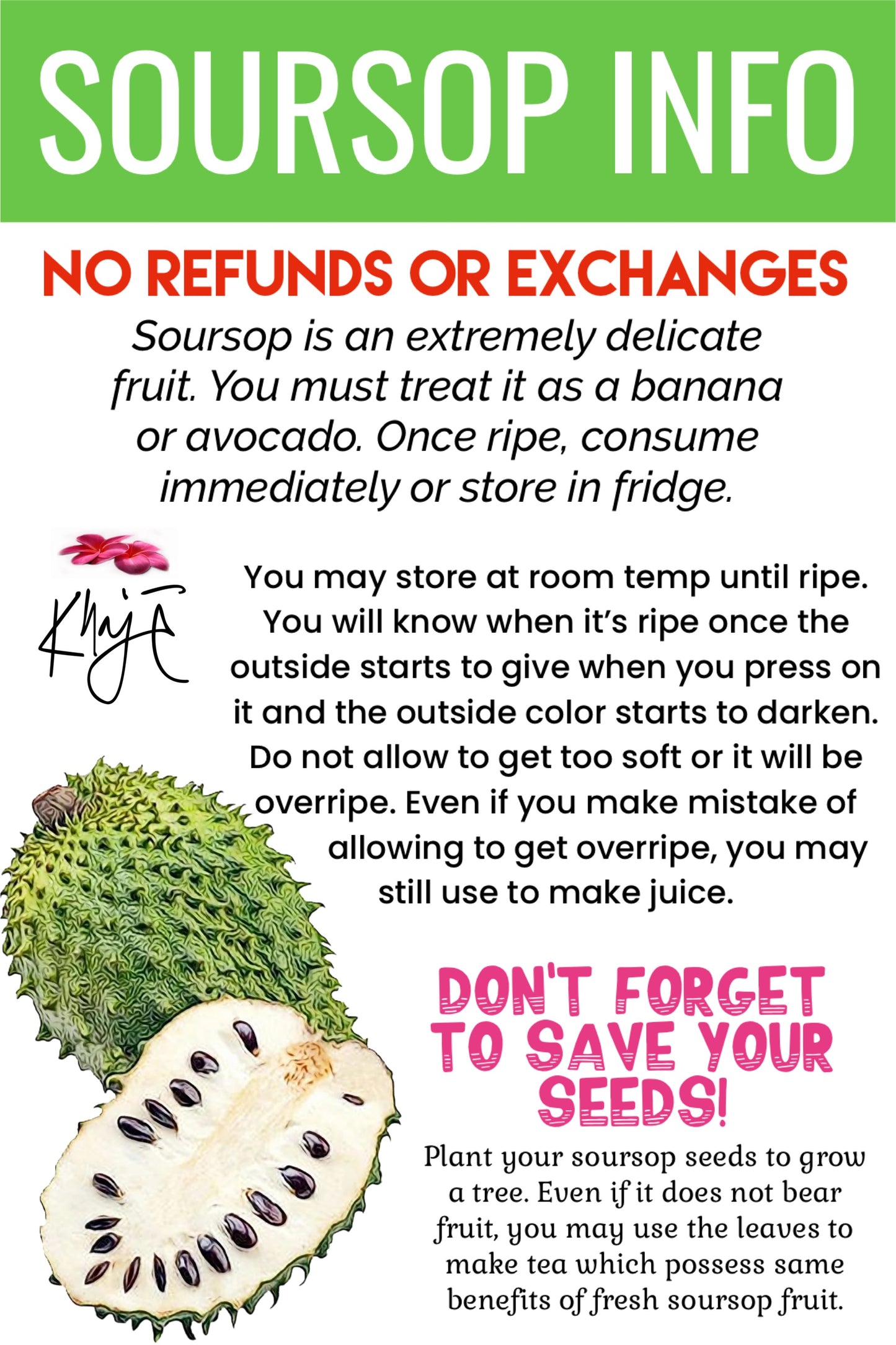Soursop Fruit