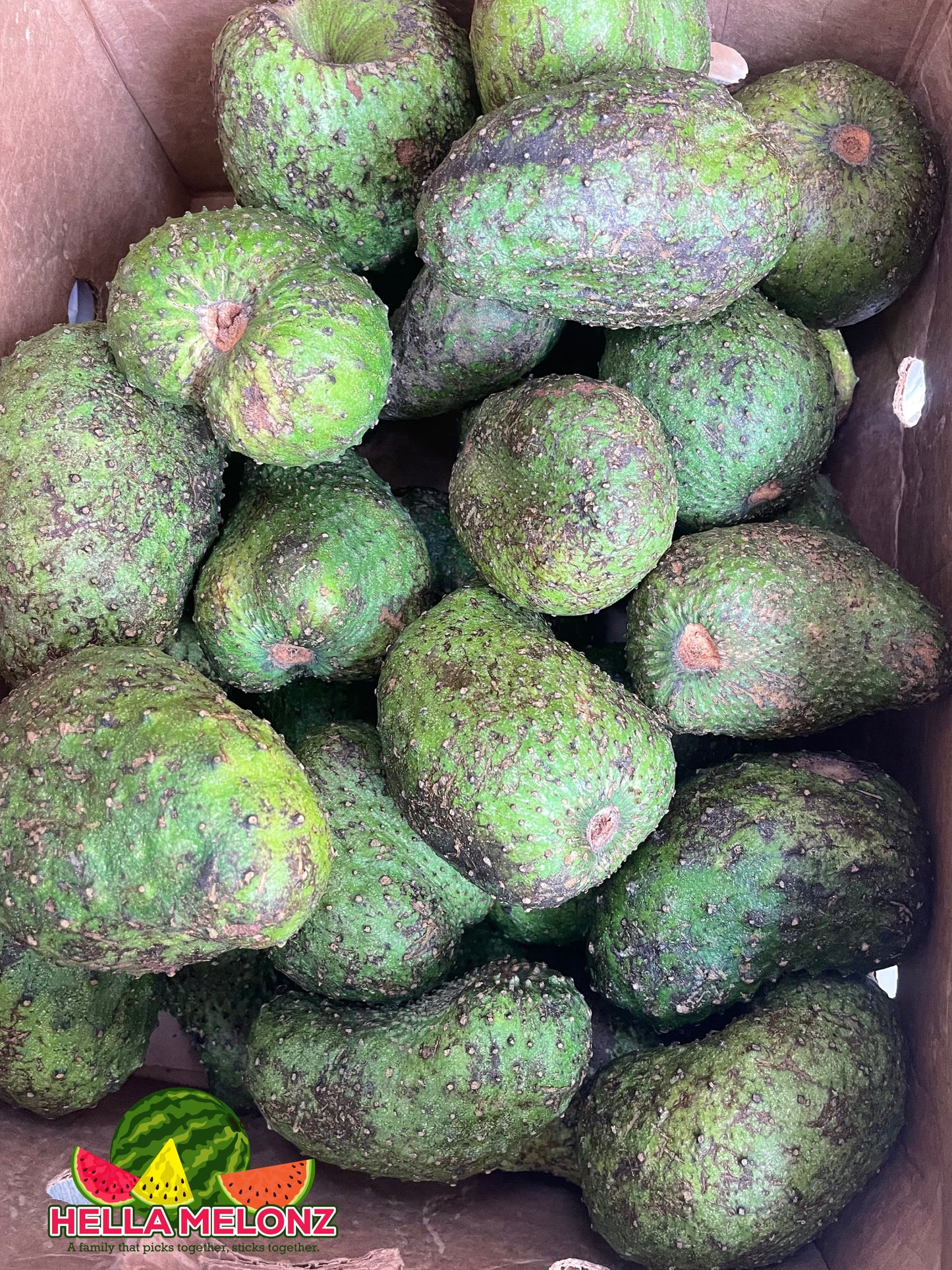 Soursop Fruit